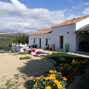 L'albero Magico Nella Campagna Gallurese Appartement Santa Teresa Gallura